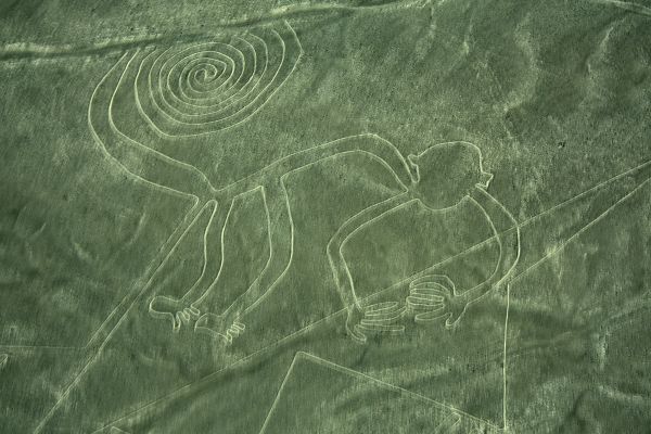 Lines in the Peru desert outlining a monkey