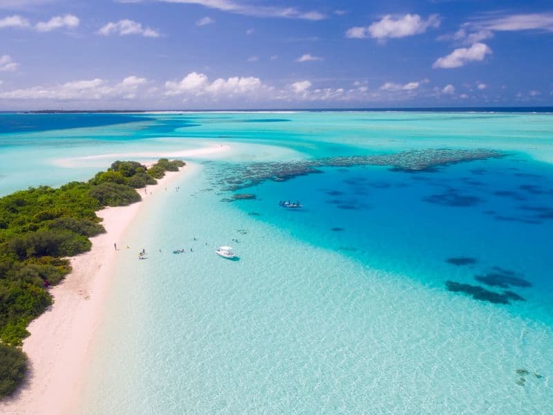 Vast clear blue ocean, a strip of white sand and green trees against blue sky. The Maldives provides some of the best snorkelling in the world for kids.