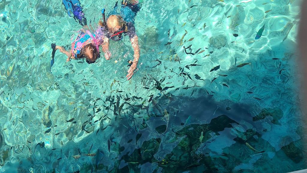 Lots of fish in crystal clear ocean with two kids tweens snorkelling a perfect age to travel more adventurously.