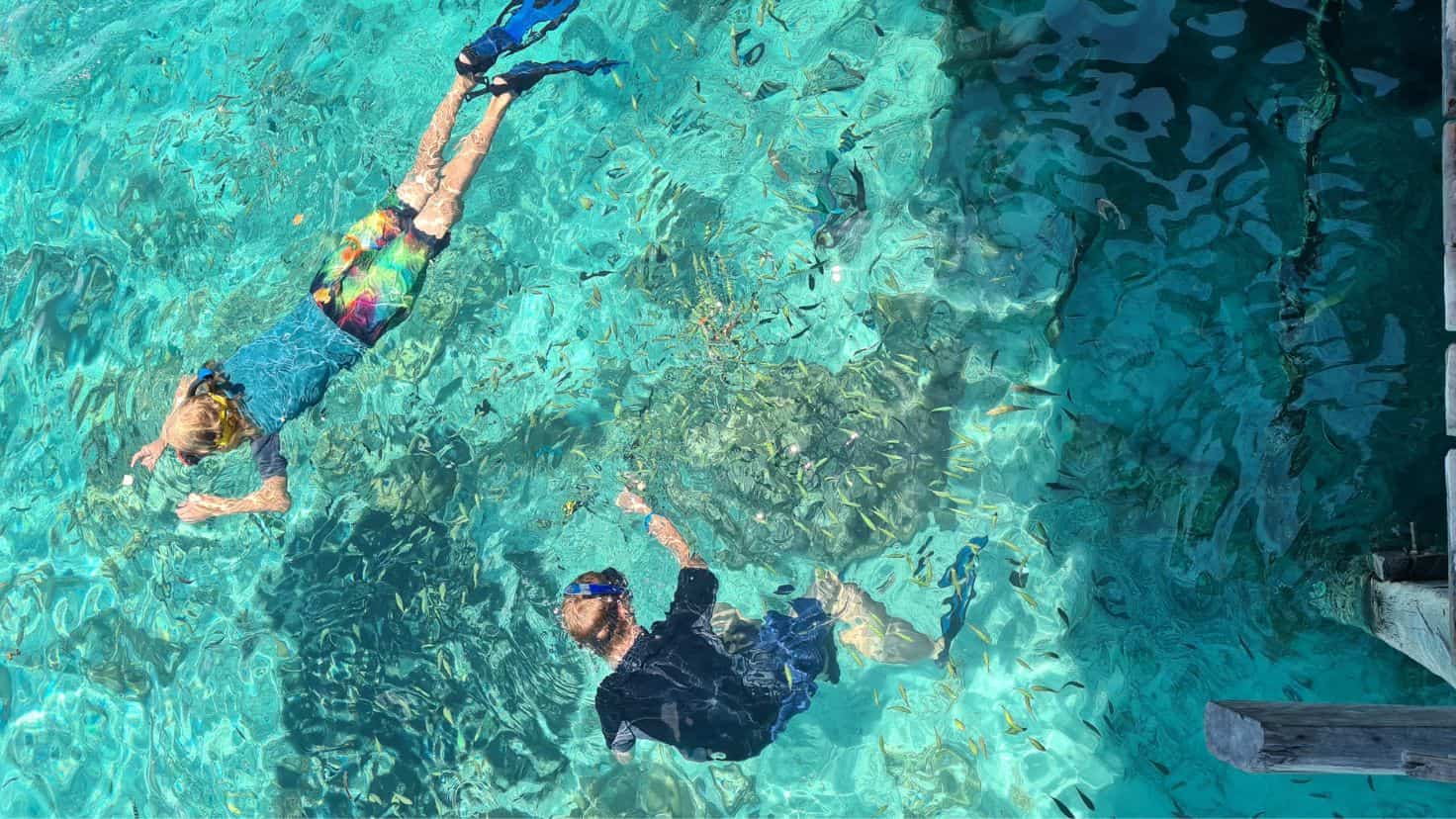 Kids snorkelling with fish in crystal clear water at the final stop on a Komodo Island tour.