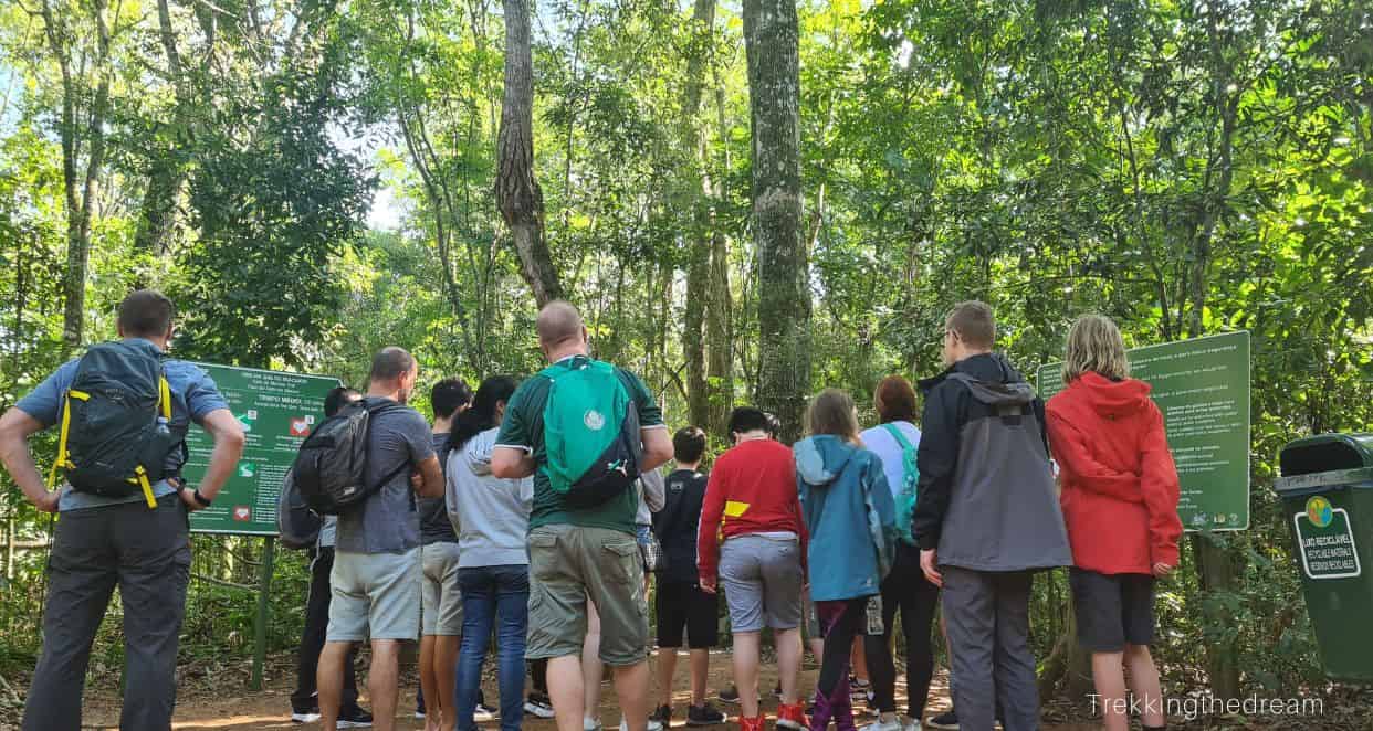 Organised group tour, Brazil with kids