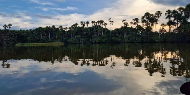 Explore the Amazon rainforest along the river in Brazil with kids