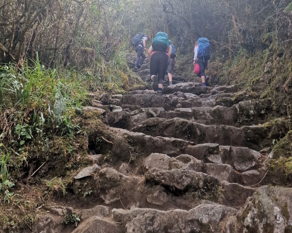 Stone steps on the Inca Trail, Peru