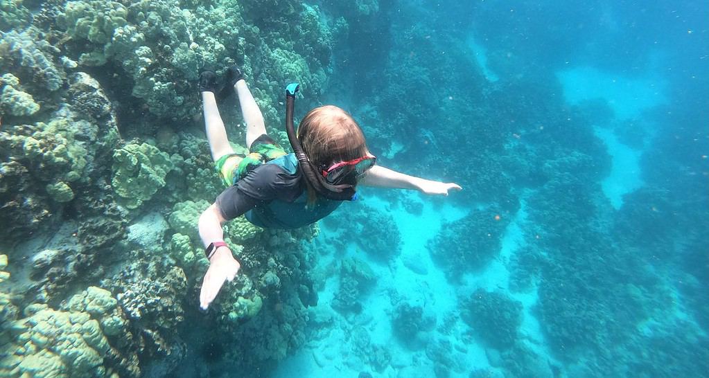 Our son snorkelling in a reef with clear waters