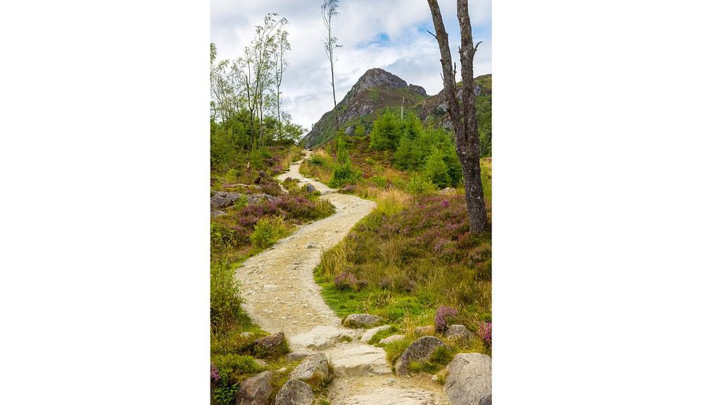 Path leading to a hiking trail for kids in Scotland.