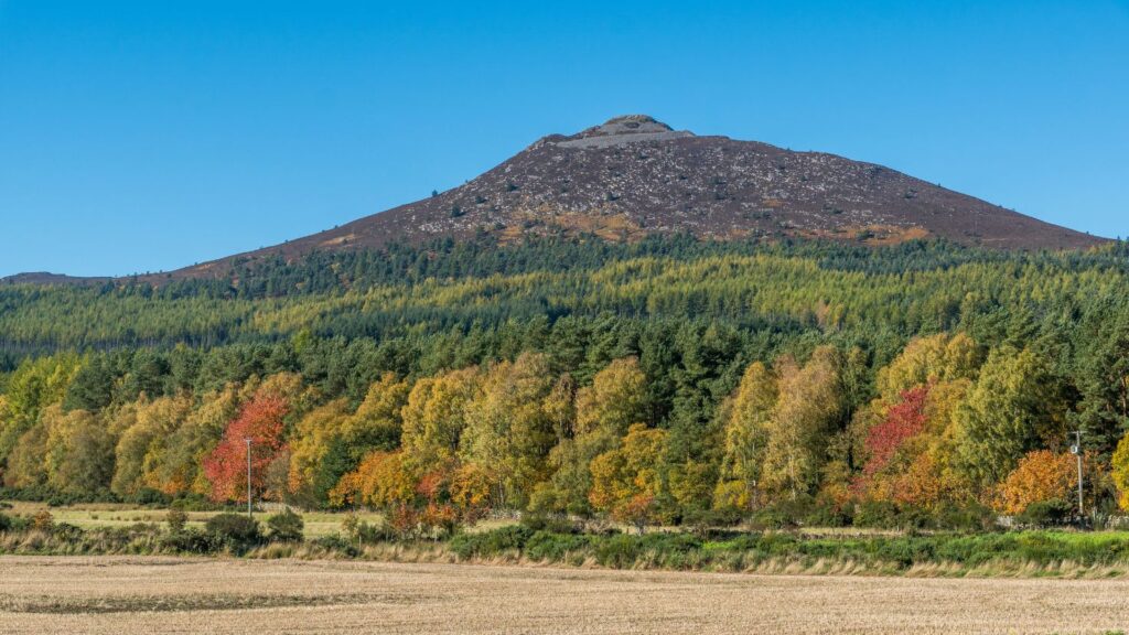 Beautiful autumn coloured forest in front of a popular family friendly hikes in Scotland. 