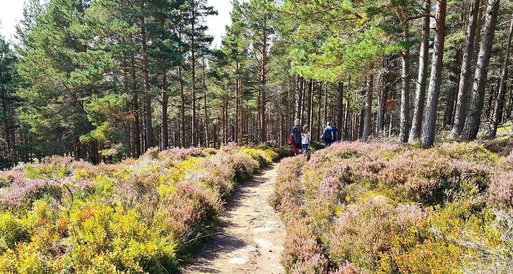 Family walking in a sunny spot in Scotland
