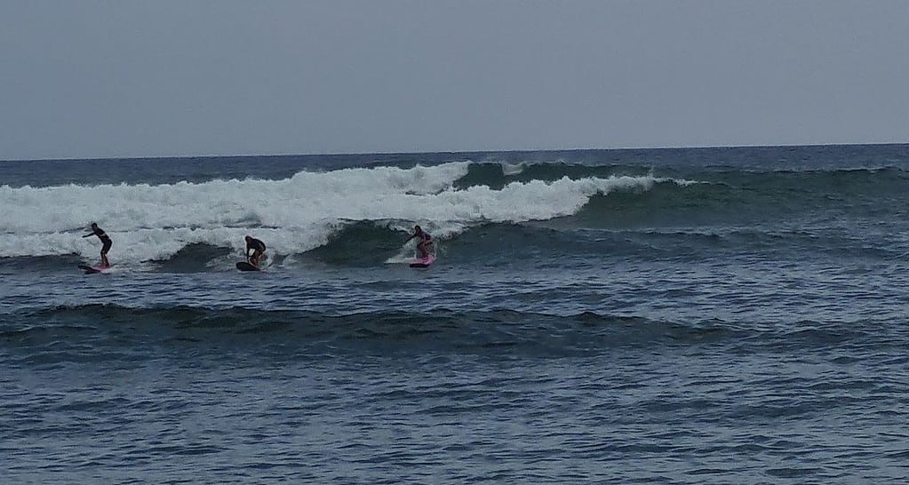 Kids surfing waves in the sea. Sri Lanka is the perfect destination for beginners.