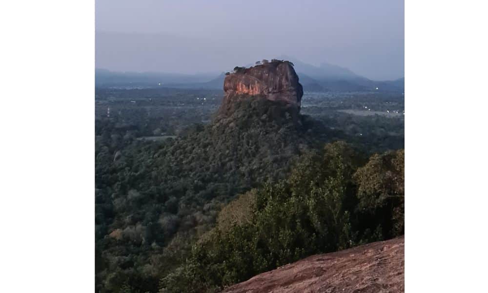 View of forest and large rock in the distance.