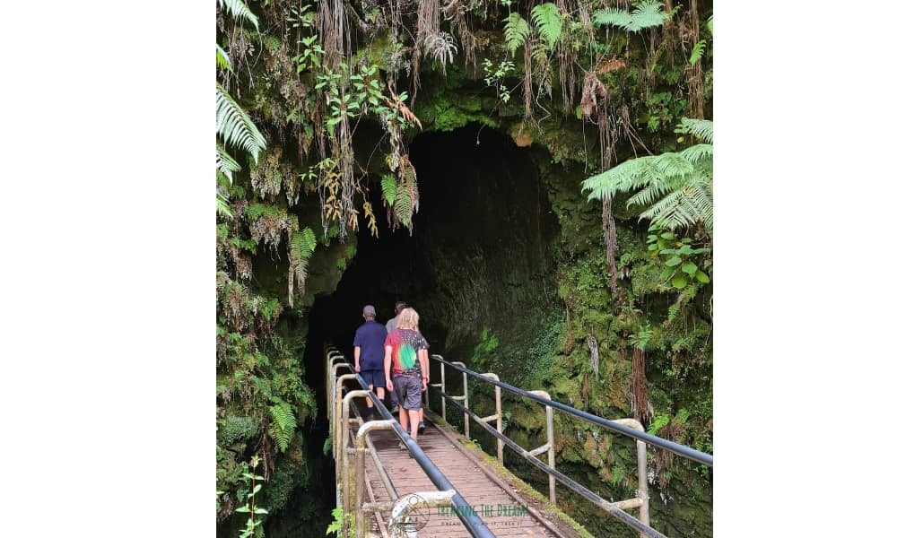 Kids venturing across a bridge into a lava cave surrounded by leaves in Hawaii. 