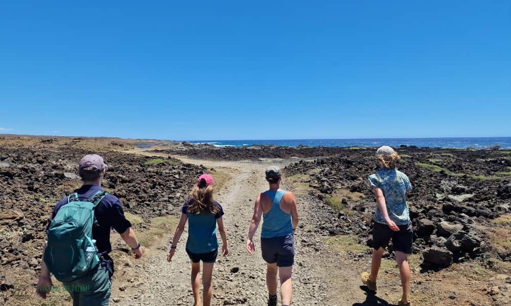 Family of four hiking on a track heading to Papakolea beach towards the ocean surrounded by volcanic rock and and blue sky. 