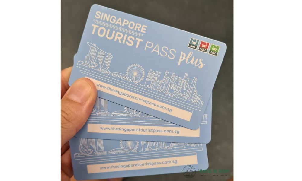 Tourist budget saving travel passes