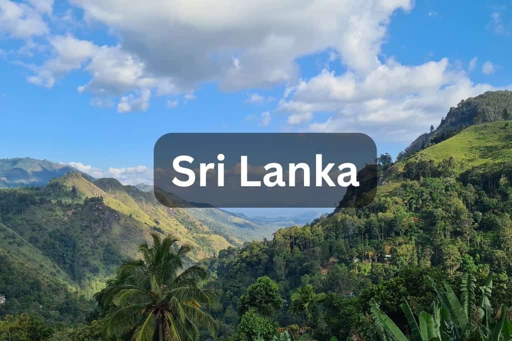 Forest landscape with palm trees from a lookout with the word Sri Lanka