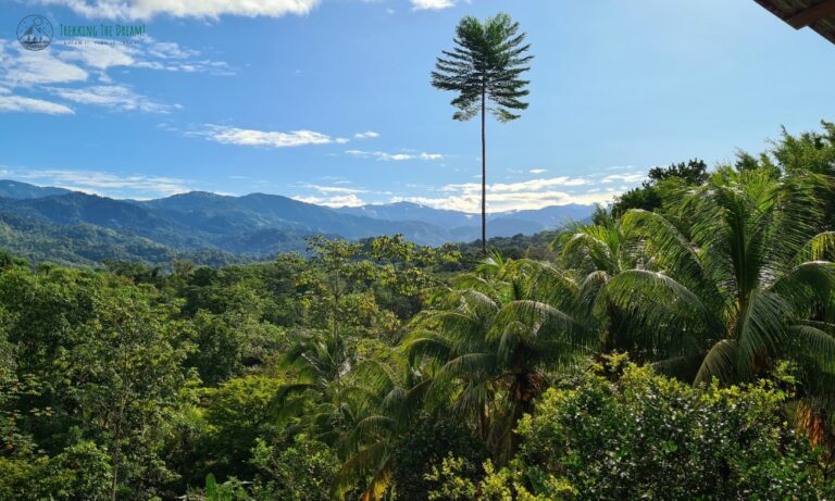 A view over a lush rainforest in Costa Rica, not the worst time to visit.