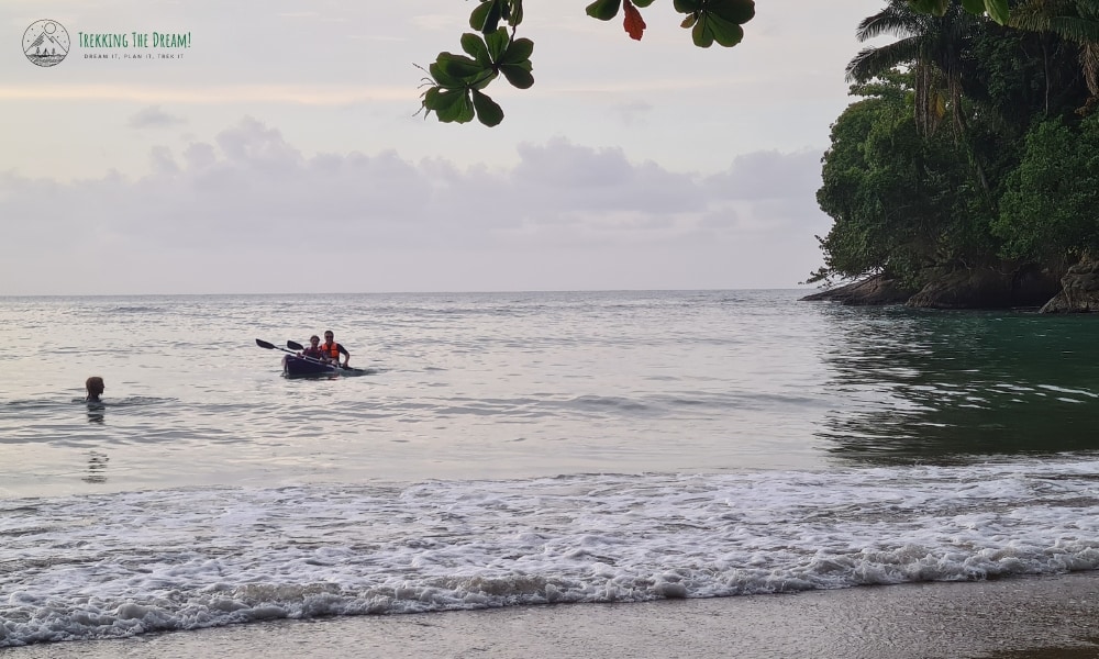 People kayaking in the sea near a beach 