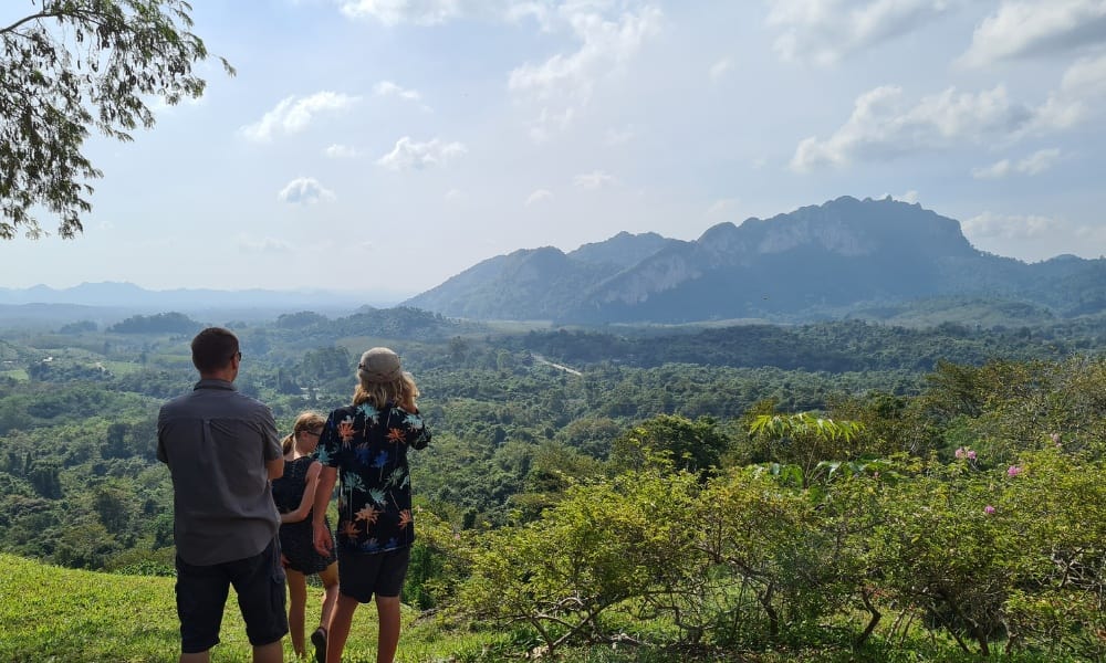 A family looking out over green jungle and hills