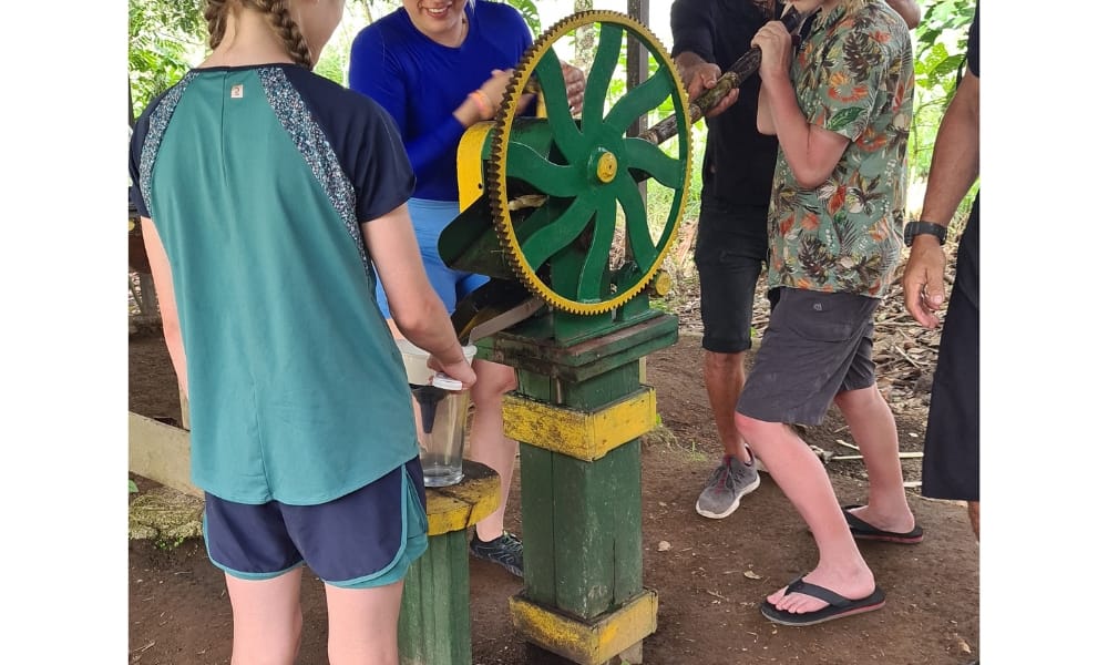 Kids squashing sugar cane to make juice at a farm in Costa Rica