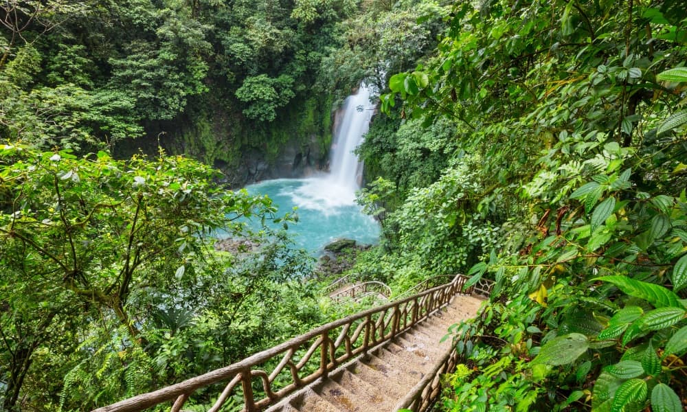 A blue waterfall set in a rainforest with steps leading to it