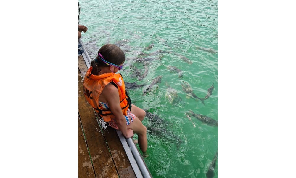 Kid in life vest waiting to swim with large fish