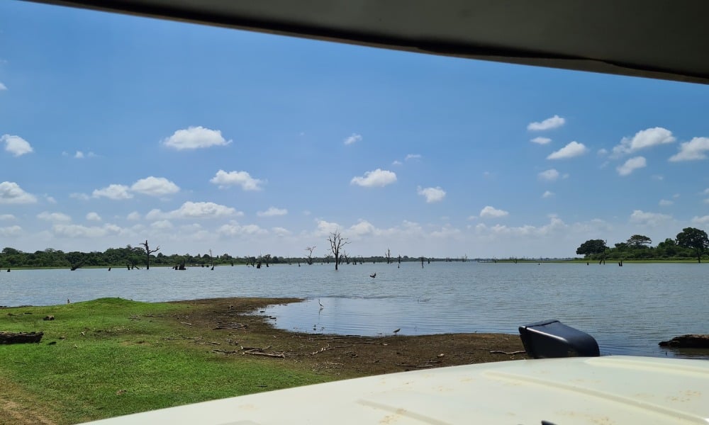 Safari jeep over looking water. One of the top things to do in Sri Lanka 