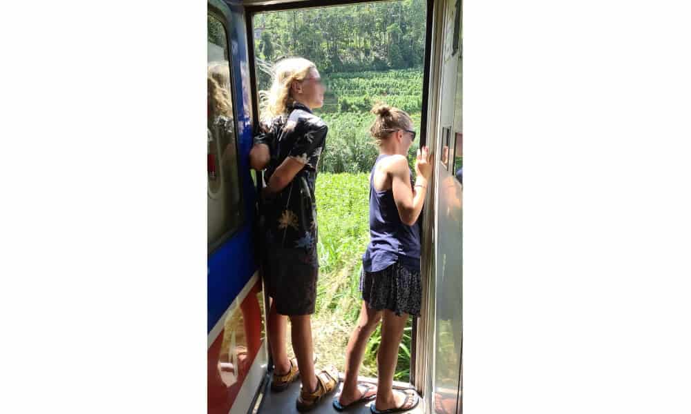 Two kids stood at an open door of a train looking out into green tea plantations in Sri Lanka. This is a must do on a 3 week Sri Lanka itinerary.