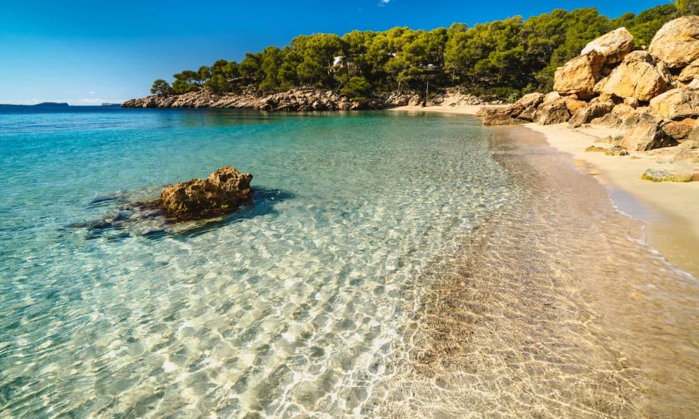 Crystal clear water rippling on to a yellow sand beach with blue skies and a green bush bank. Going to the beach is one of the top things to do in Ibiza.