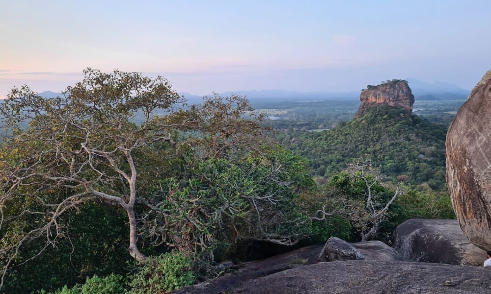 large rocks with tees overlooking green jungle with a protruding rock formation. This is A view point from Pidurangala Rock.