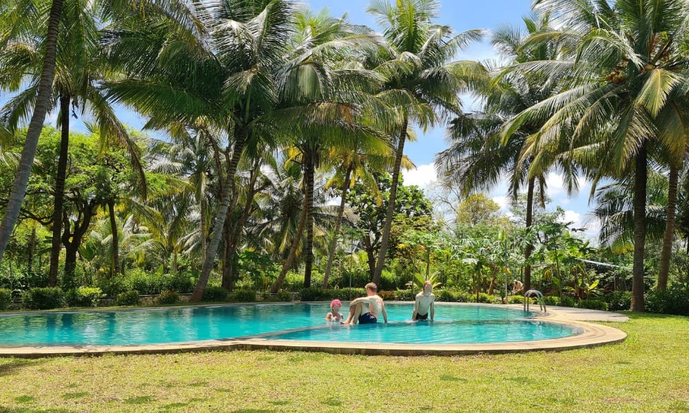 Outdoor swimming pool surrounded by grass and jungle. A family are swimming to cool off after hiking Pidurangala Rock.