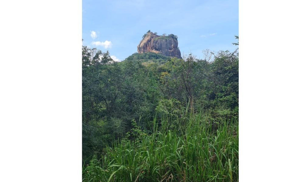 Large pertruding rock formation in the distance against blue sky surrounded by green jungle. A view of people climbing Sigirya Rock.