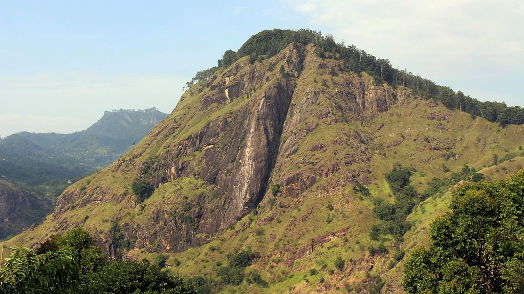 A prominent tall rock covered in green grass and trees with distant hills and cloudy/blue sky. The rock here is viewed from Little Adam's Peak and is one of the best hikes in Ella, Sri Lanka.