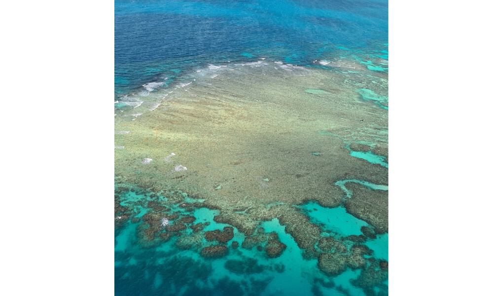 A brown coral reef surrounded by clear sea appearing different shades of blue. An ariel view of the Great Barrier Reef is worth seeing. 