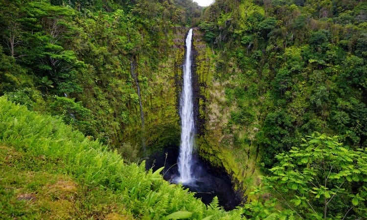 Tall waterfall surrounded by green cliffs. The tallest waterfall to see near Hilo, Hawai'i.