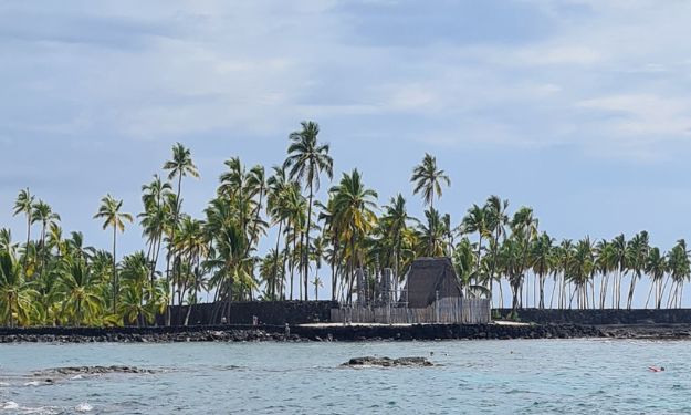 Palm trees and a hut in the distance with ocean and rocks.