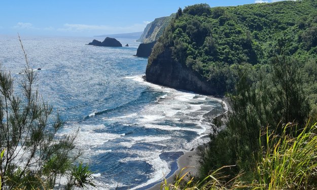 Viewpoint down to a black sand beach surrounded by jungle and waves on Hawai'i.