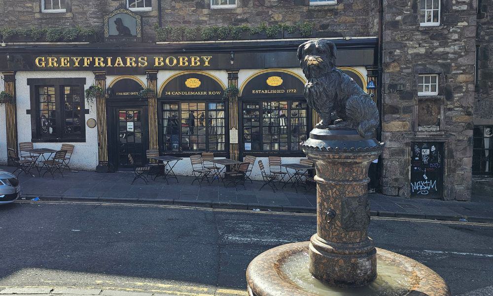 Dog statue on a street with buildings behind. Greyfriars Bobby is a loyal story in Edinburgh.