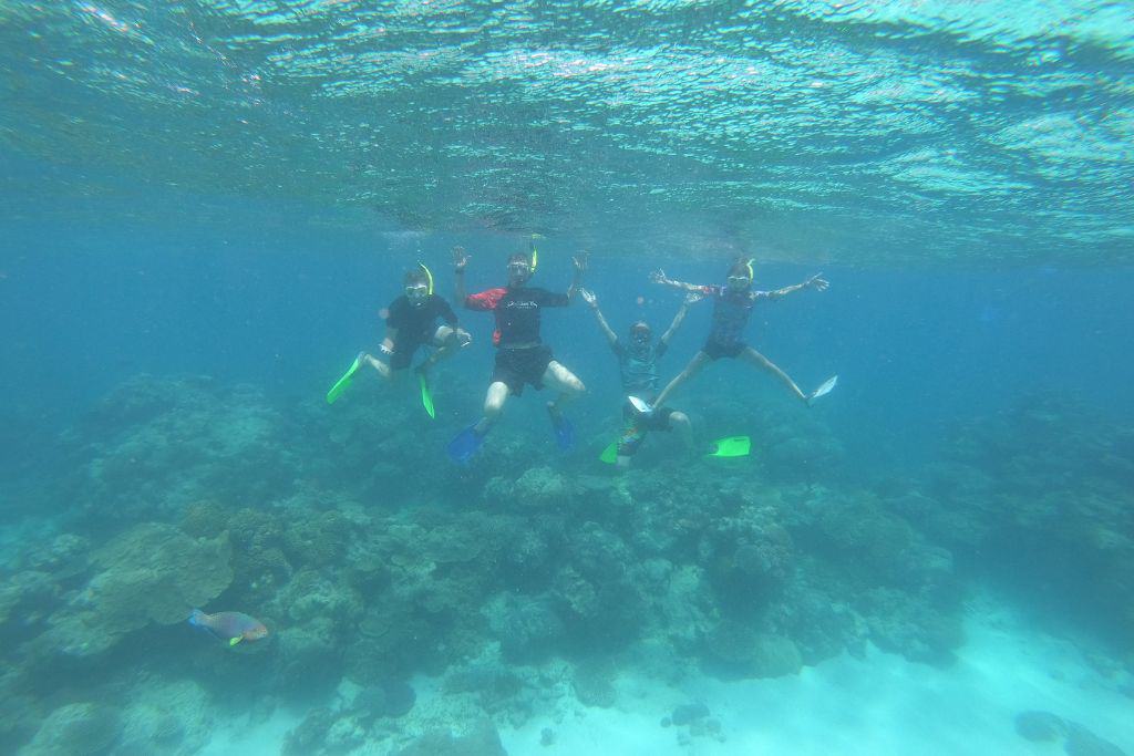 A family snorkelling underwater with coral and fish at the Great Barrier Reef.