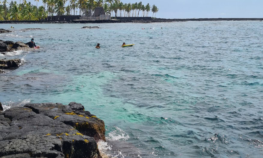 Palm trees and a hut in the distance with ocean and rocks. Two Step Beach is a popular snorkelling spot on a Big Island itinerary.