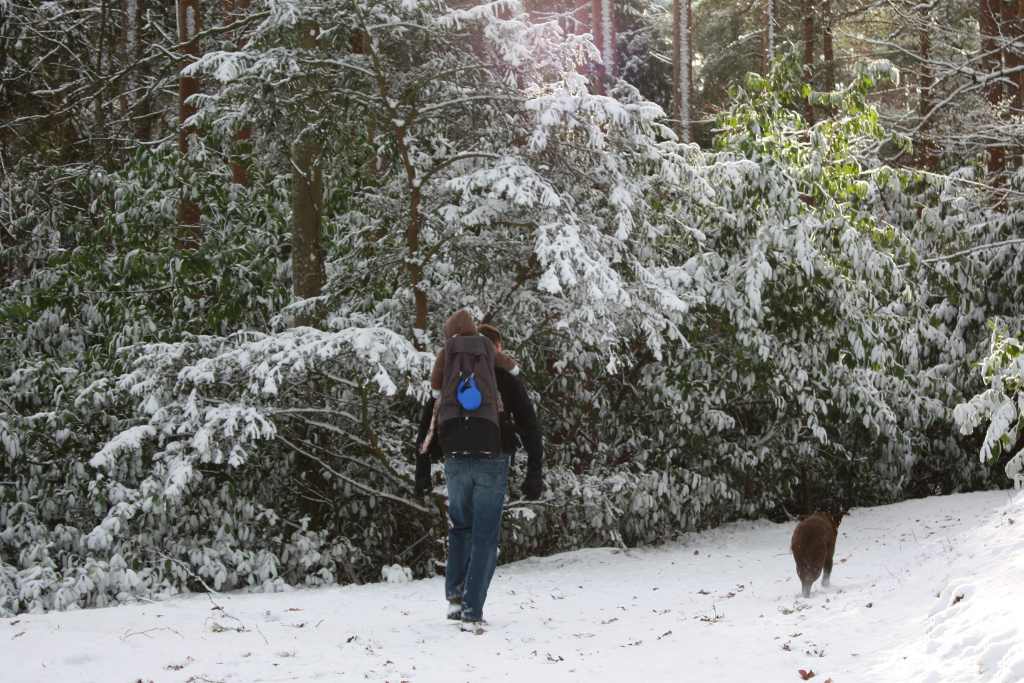 Man trekking in a snowy forest with a dog and child in a back carrier. 