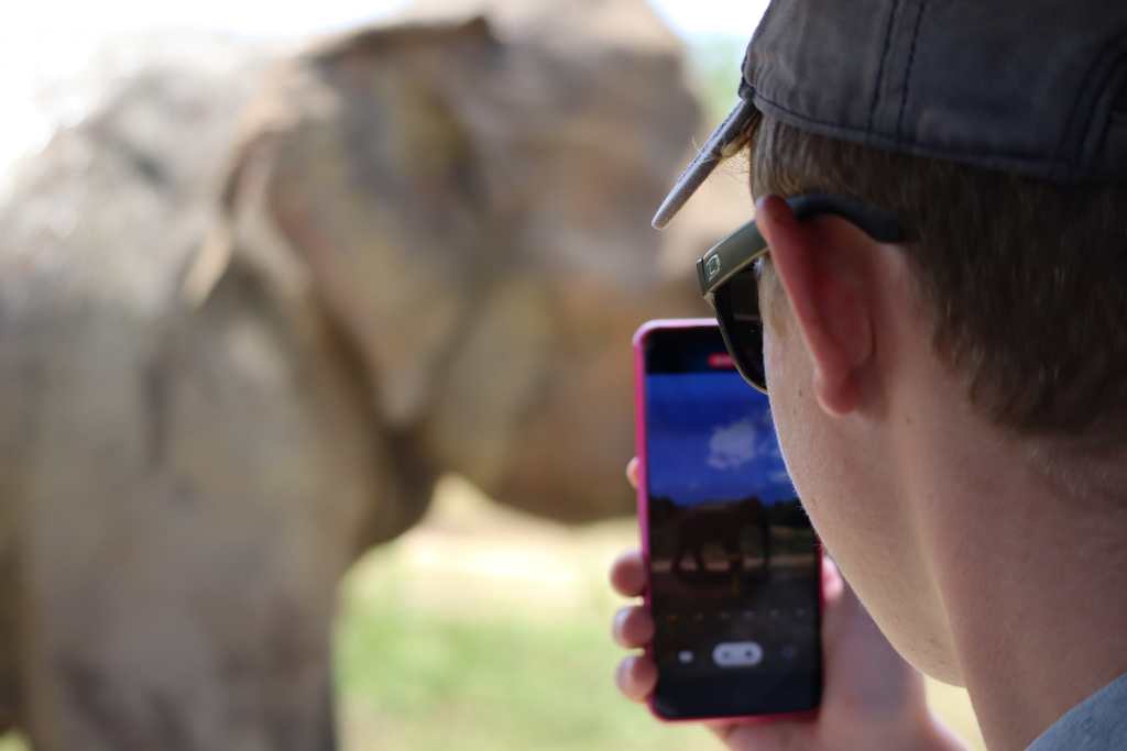 A kid taking a close up photo of an elephant travelling.