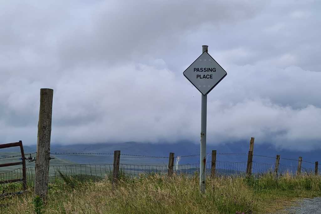 Country road verge with long grass, fence post and a white diamond sign stating 'passing place'.