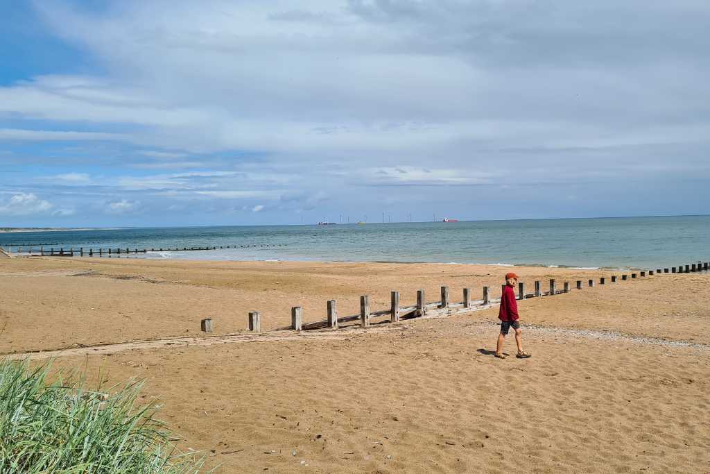 Long yellow beach with wind breaks and a child walking by the sea.