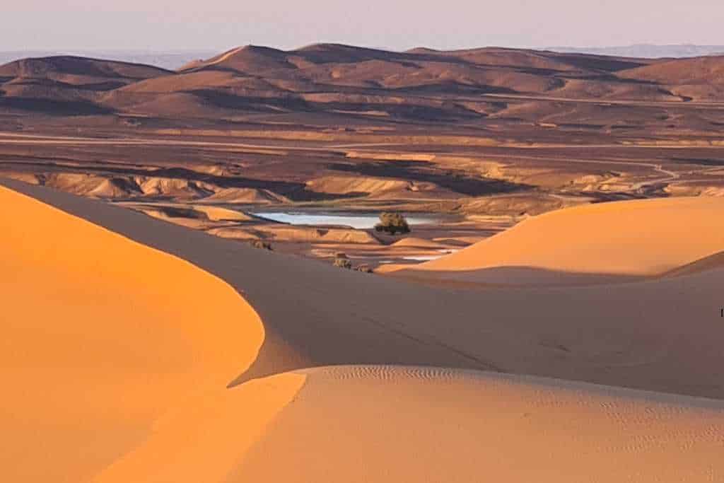 Golden sand dunes opening up to a pool of water. Rainfall collected in an oasis is vital for survival in the desert.