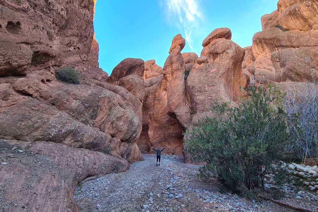 A kid stood in a red rock gorge with a green tree within the Atlas Mountains Morocco. 