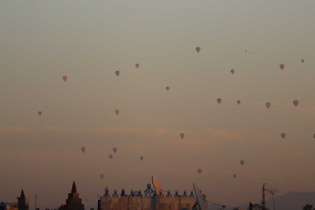 Many hot air balloons at sunrise visible in the distance from Marrakesh. This is a great activity for families visiting Morocco. 