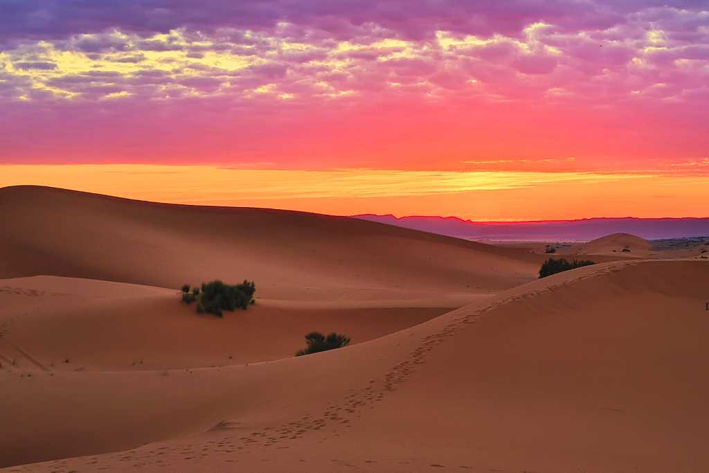 A pink, purple and yellow sky at sunrise over the golden dunes of the Sahara Desert in Morocco.