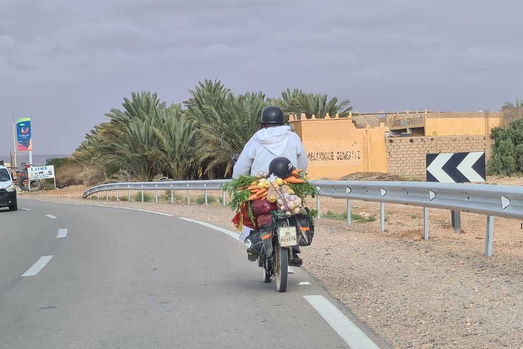 Man riding a moped along a road with vegetable on the rear. A common sight on a Moroccan road trip.