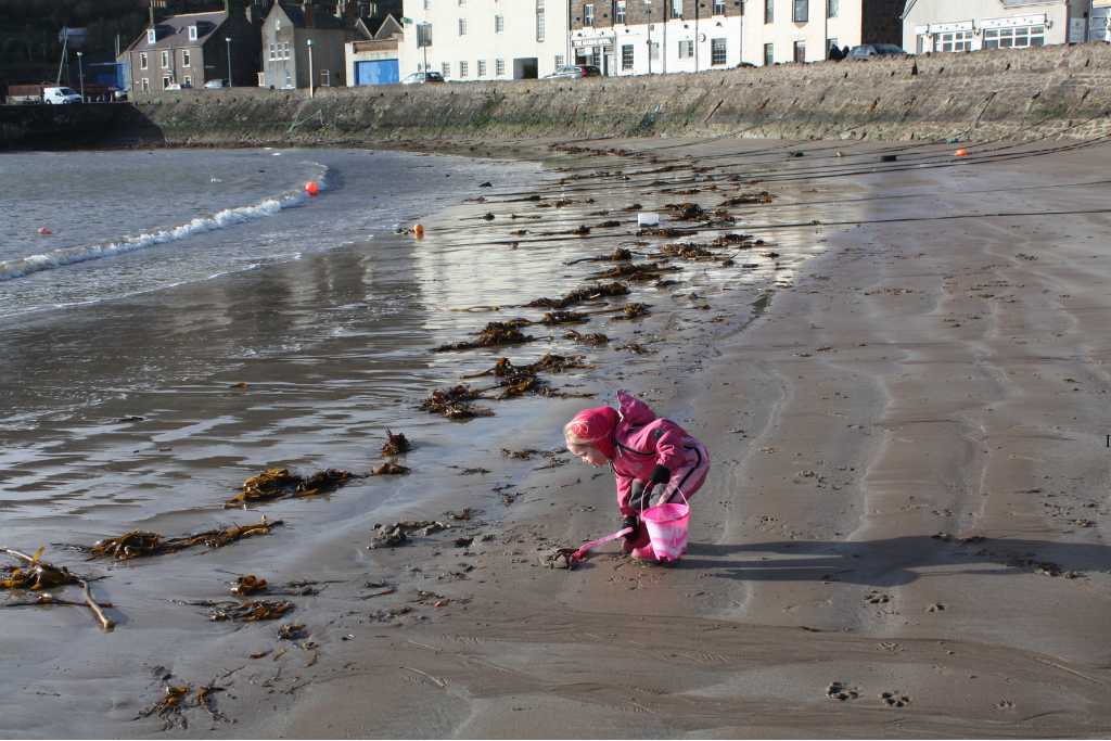 A kid digging on a sandy beach in a habour on one of the best beaches in Scotland for families. 